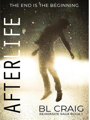 cover image of AfterLife